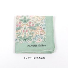 画像12: 【MORRIS Gallery】モリスギャラリー ガーゼハンカチ 4柄 (12)