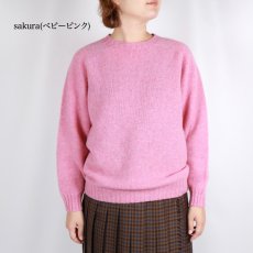 画像39: Harley of Scotland シェットランドクルーネックニット 6色 (39)