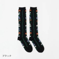 画像6: French Bull シェノンソックス 3色 (6)